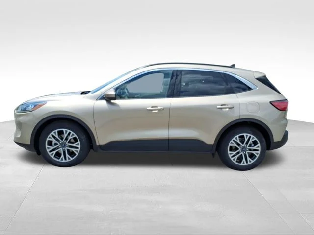 Used 2020 Gold Ford SEL image 4