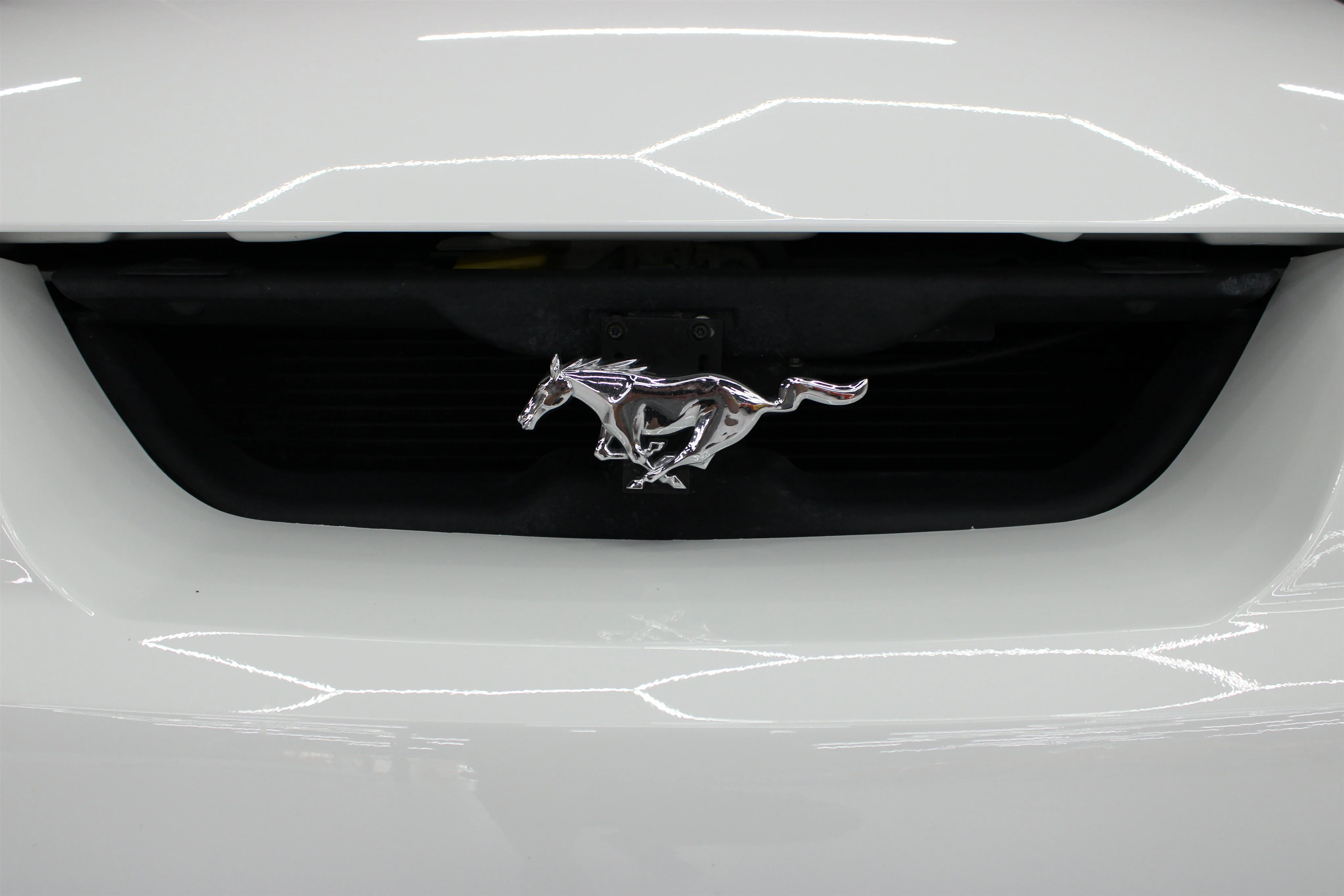 2004 Ford Mustang Cobra SVT - Photo 32