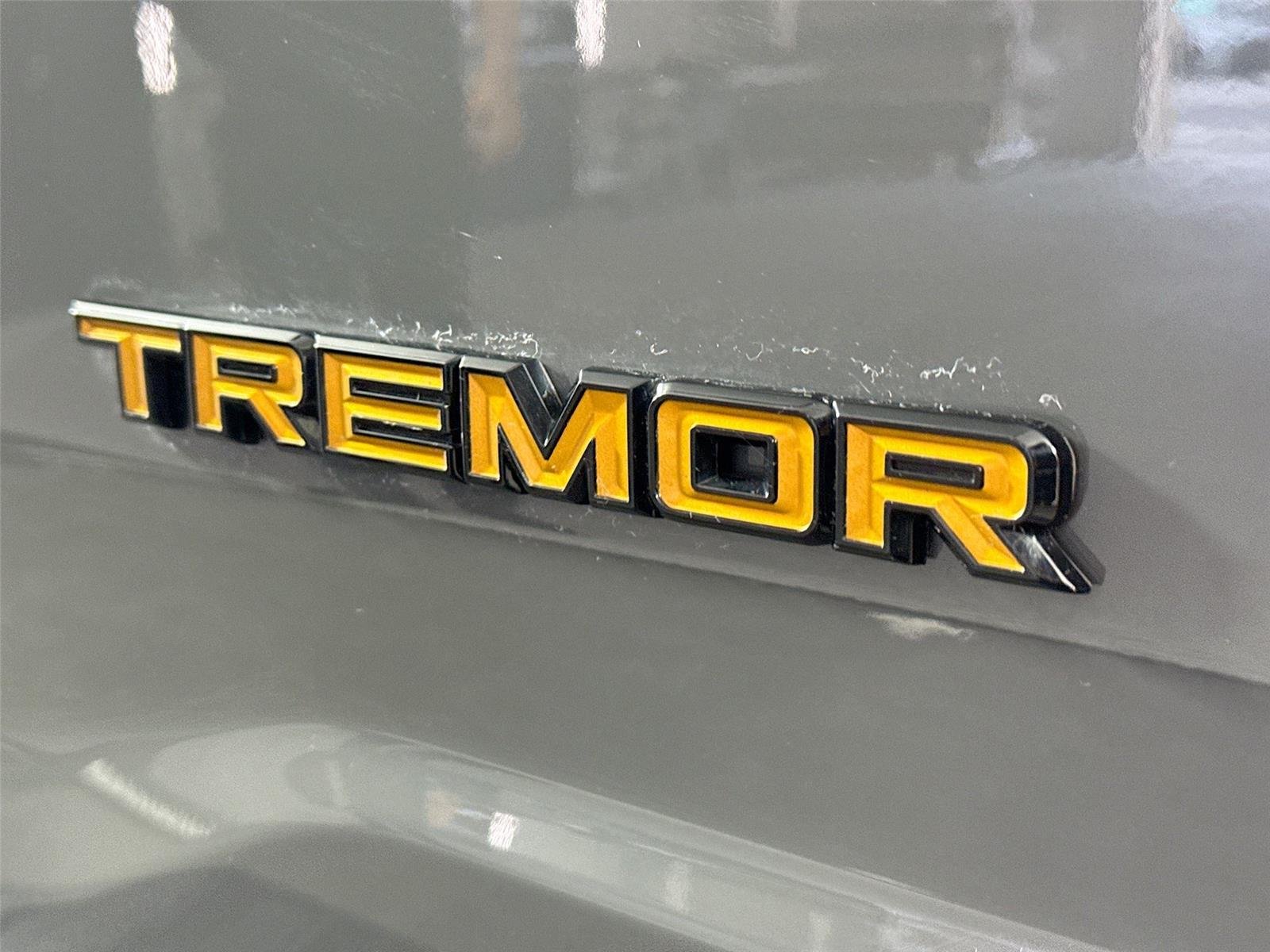 2021 Ford F-150 Tremor - Photo 11