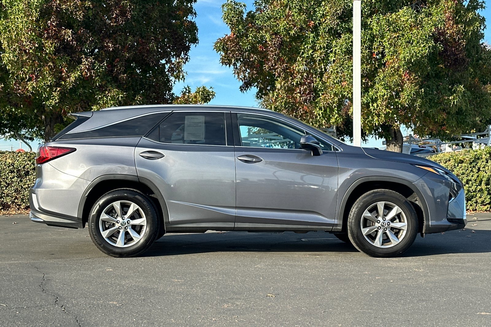 2018 Lexus RX 350L photo 2