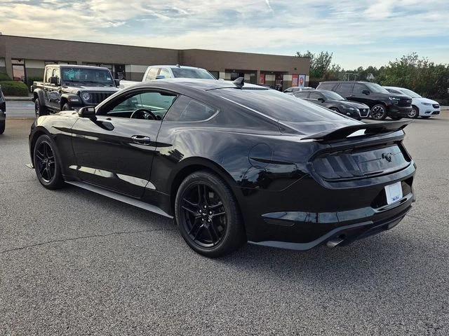 Used 2023 Black Ford EcoBoost Premium image 4