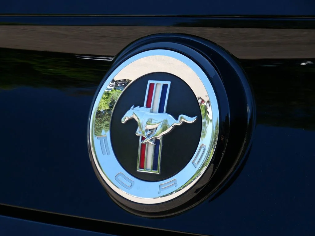 Used 2014 Black Ford V6 Premium image 8