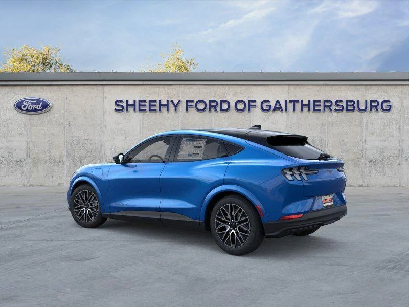 New 2026 Velocity Blue Metallic Ford Premium image 4