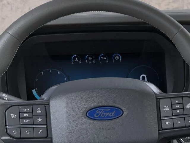 New 2026 Gray Ford Platinum image 13