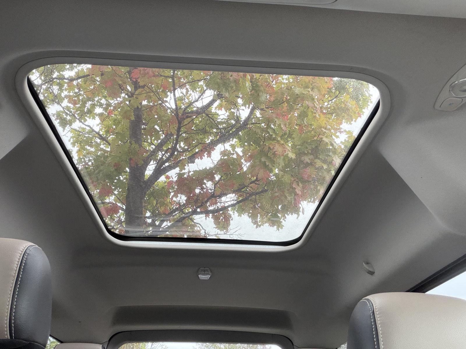 Used 2016 Magnetic Metallic Ford Titanium image 7
