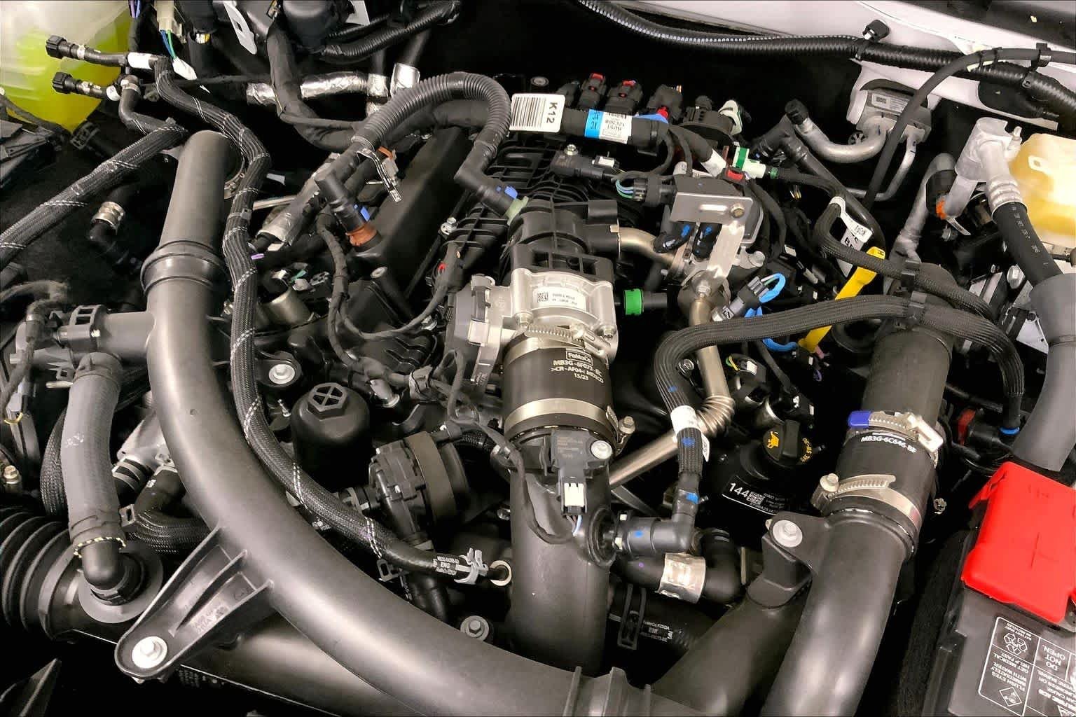 New 2025 Oxford White Ford Stroppe Edition image 16