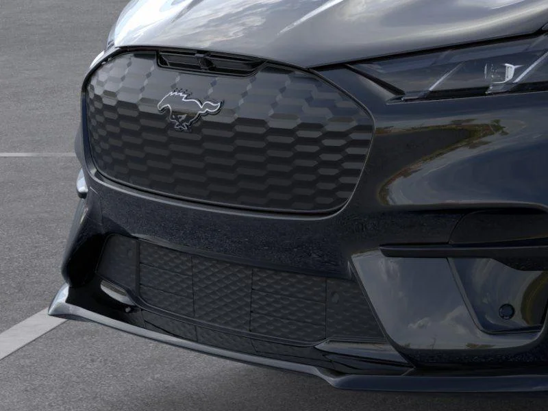 New 2026 Shadow Black Ford Premium image 17