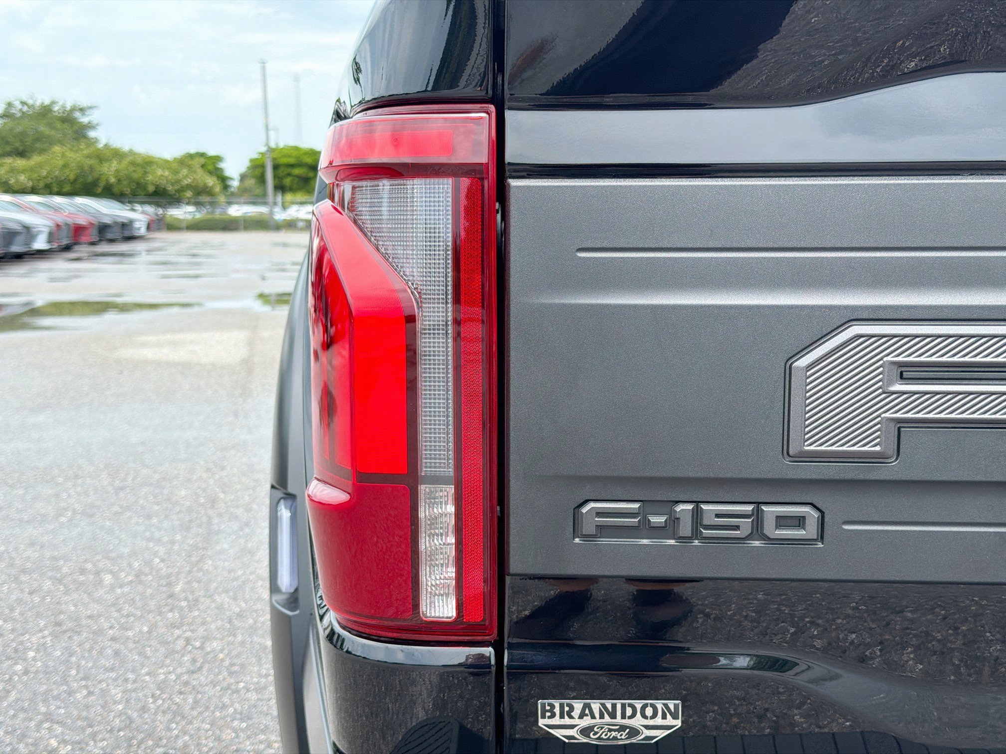 Used 2025 Black Metallic Ford Raptor image 10
