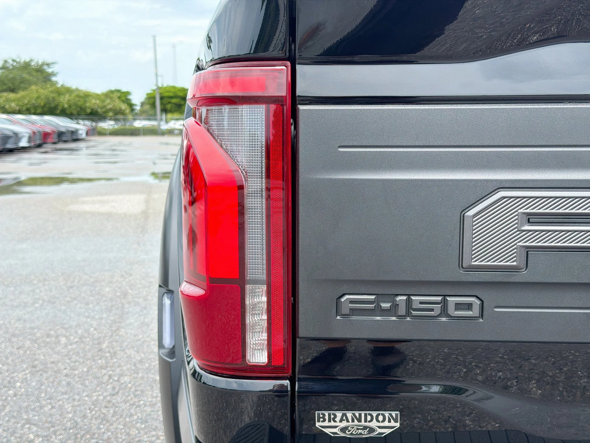 Used 2025 Black Metallic Ford Raptor image 10