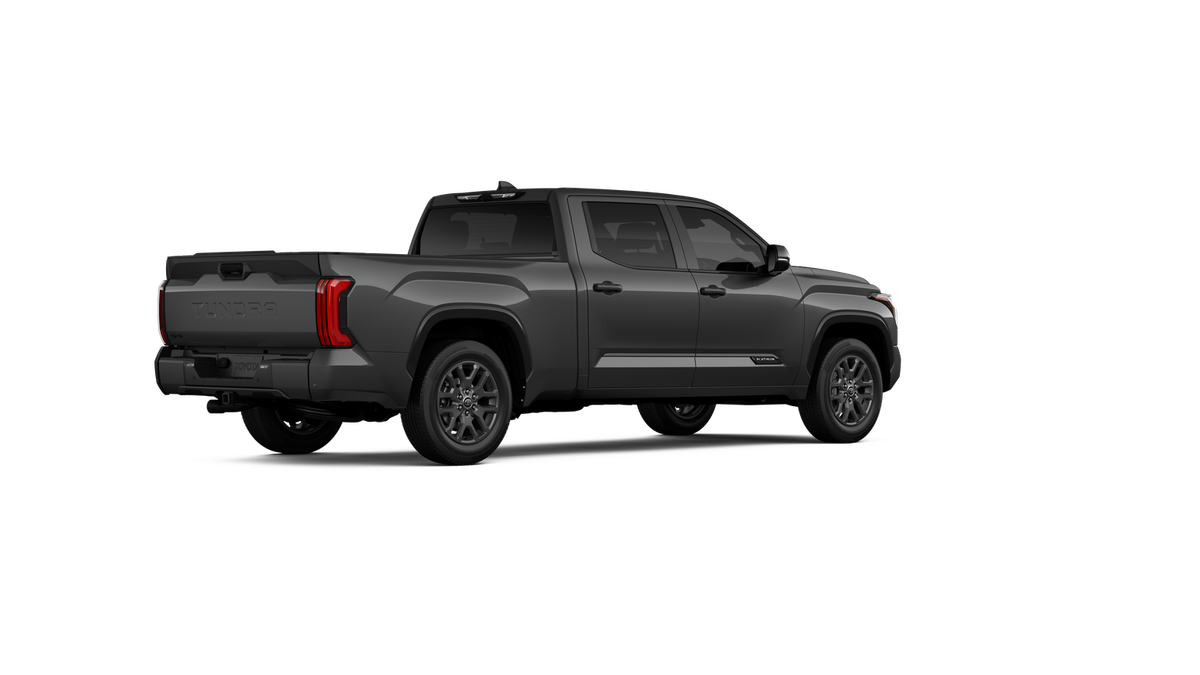 New 2026 Magnetic Gray Metallic Toyota Platinum image 32
