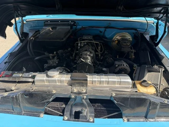 Used 1966 Blue Chevrolet Longbed image 9