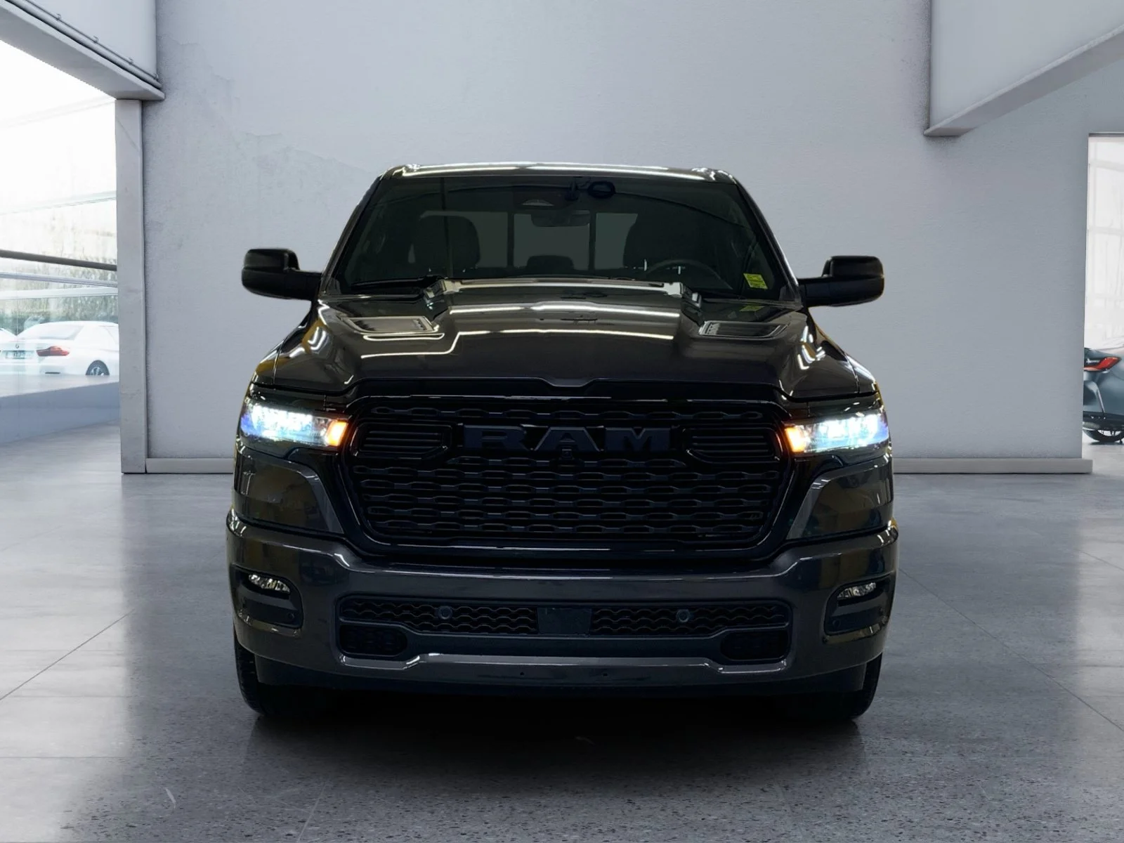 New 2026 Granite Crystal Metallic Ram Express image 8