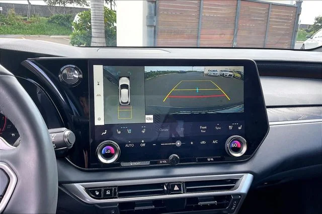 2025 Lexus RX 350 - Photo 20