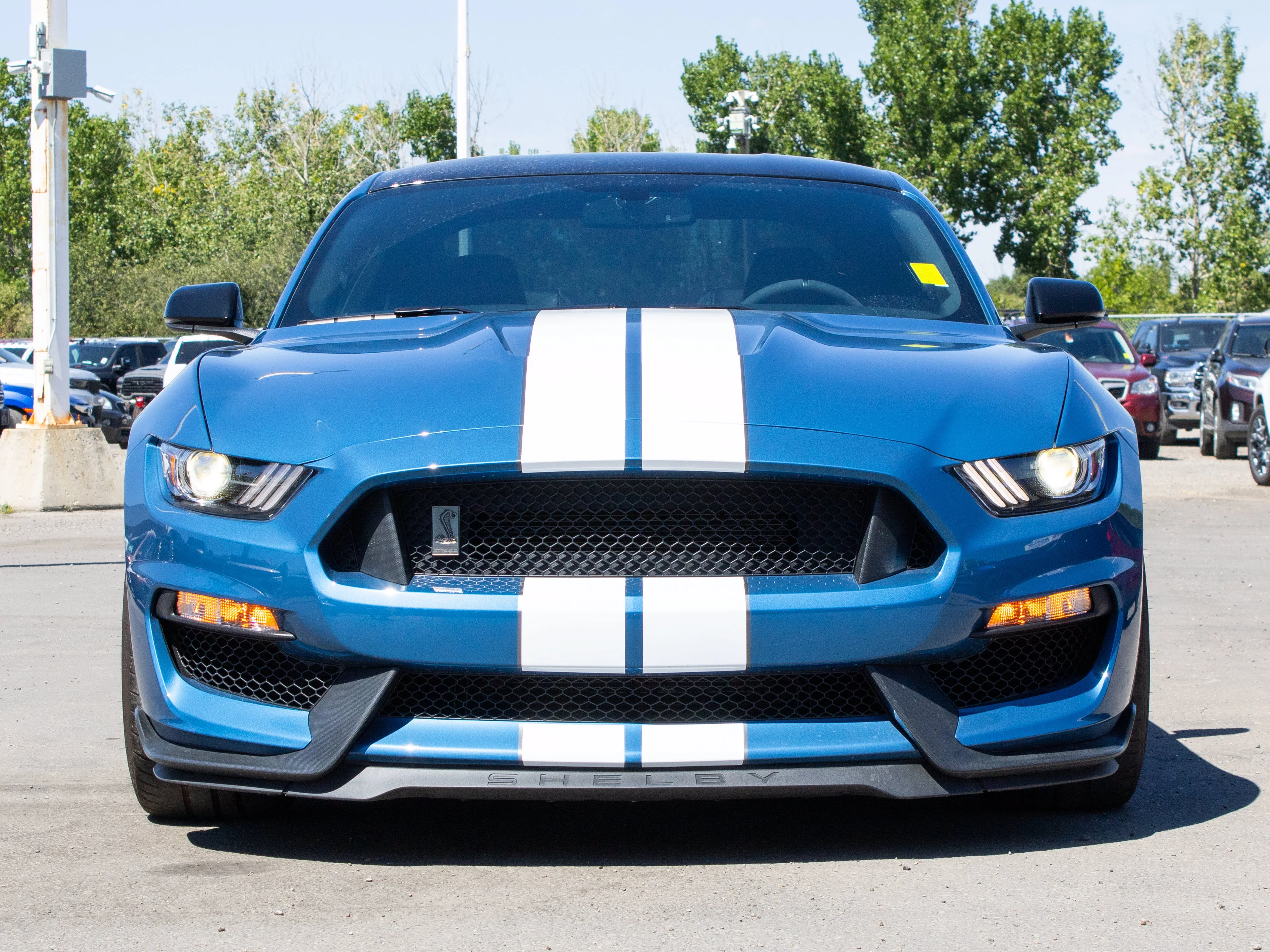 Certified Used 2020 Blue Ford Shelby GT350 * V8 Voodoo 526 HP | No Accidents | Low KM