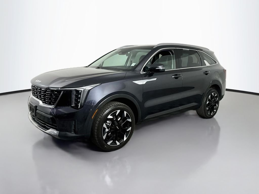 Used 2025 Panthera Metal Kia EX image 4