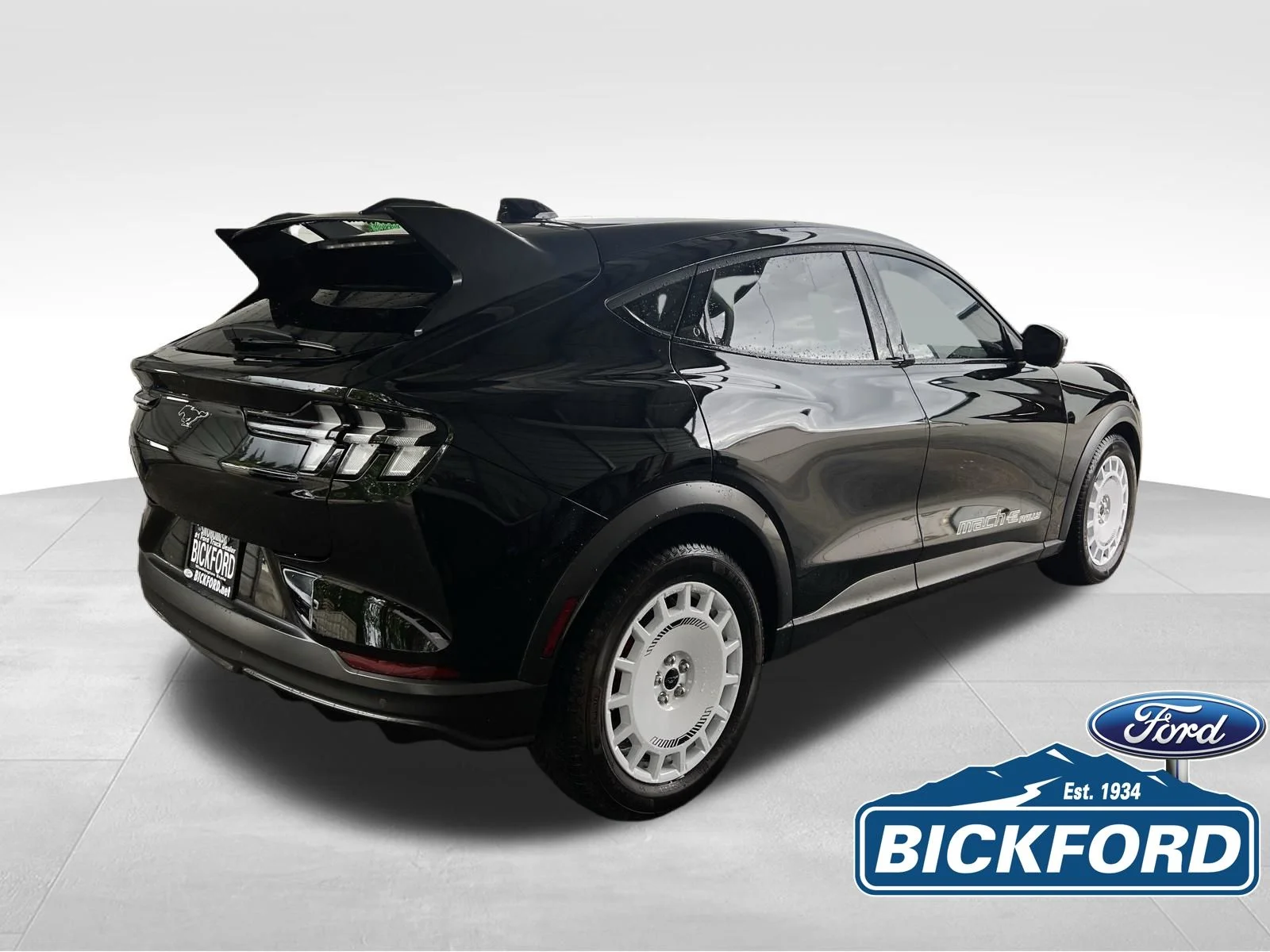 2025 Ford Mustang Mach-E GT - Photo 12
