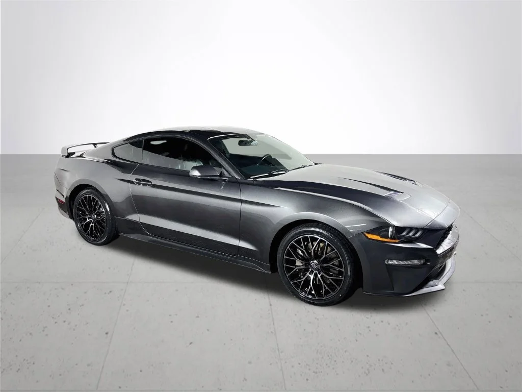Used 2019 Gray Ford EcoBoost Premium image 4