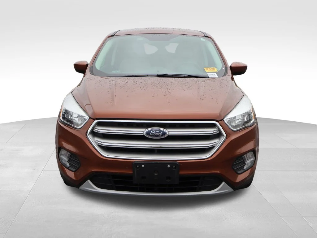 Used 2017 Canyon Ridge Metallic Ford SE image 6