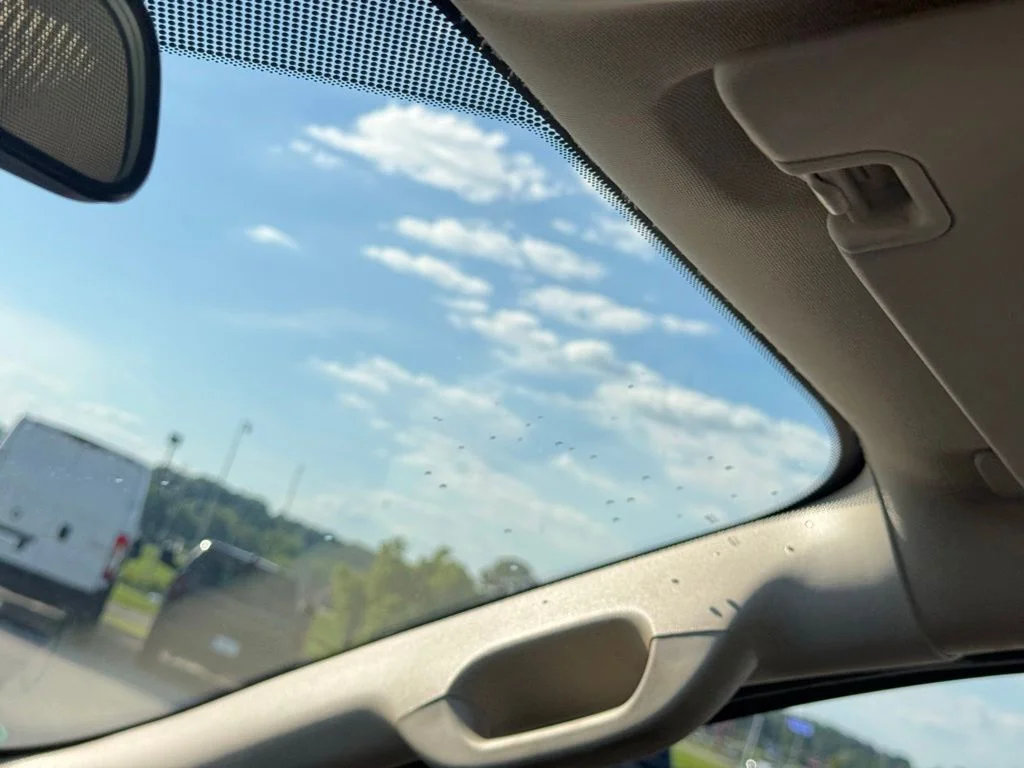 Used 2019 Gray Ford XL image 14