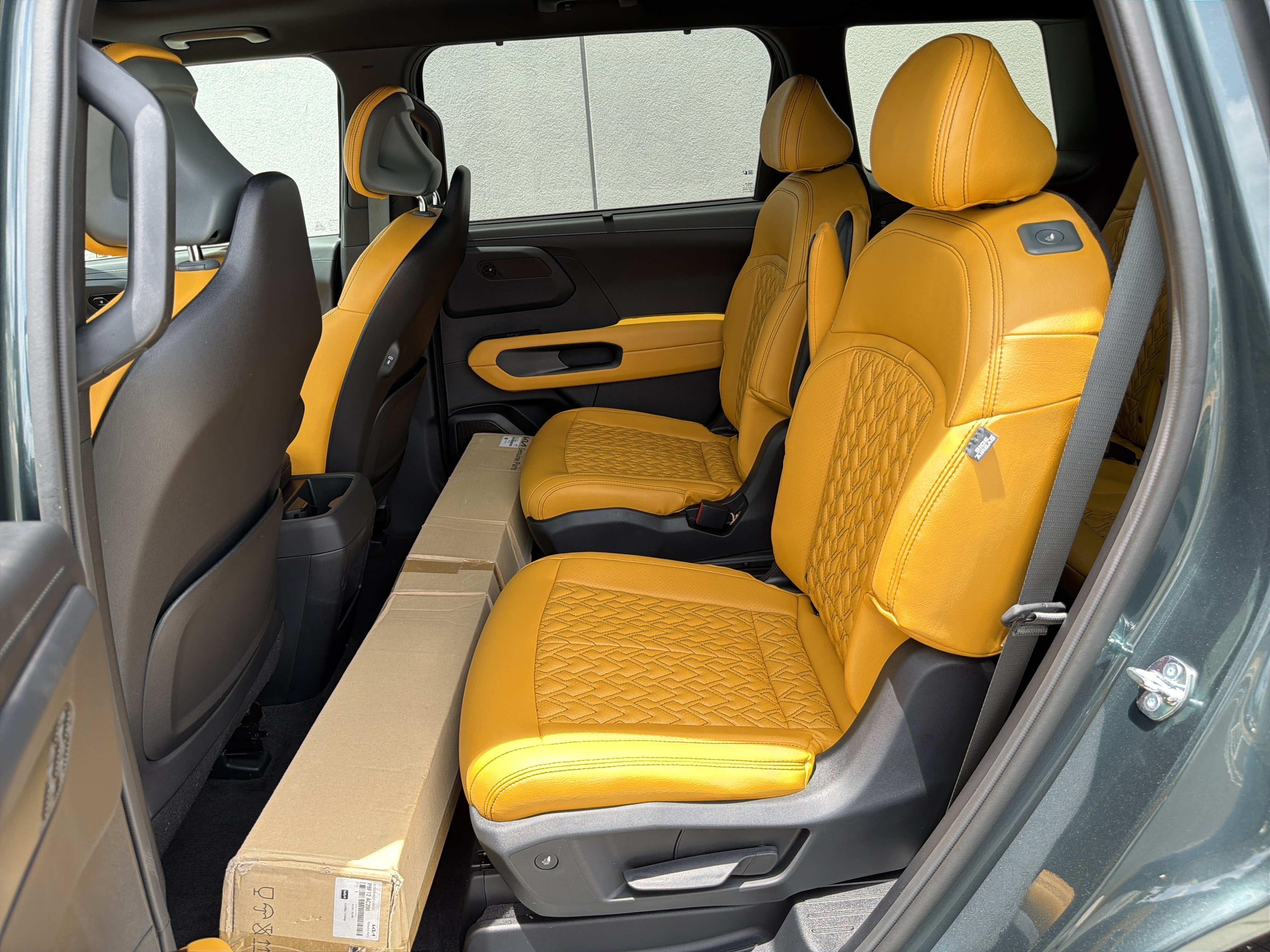 New 2027 Black Jade Green Kia X-Line SX image 10