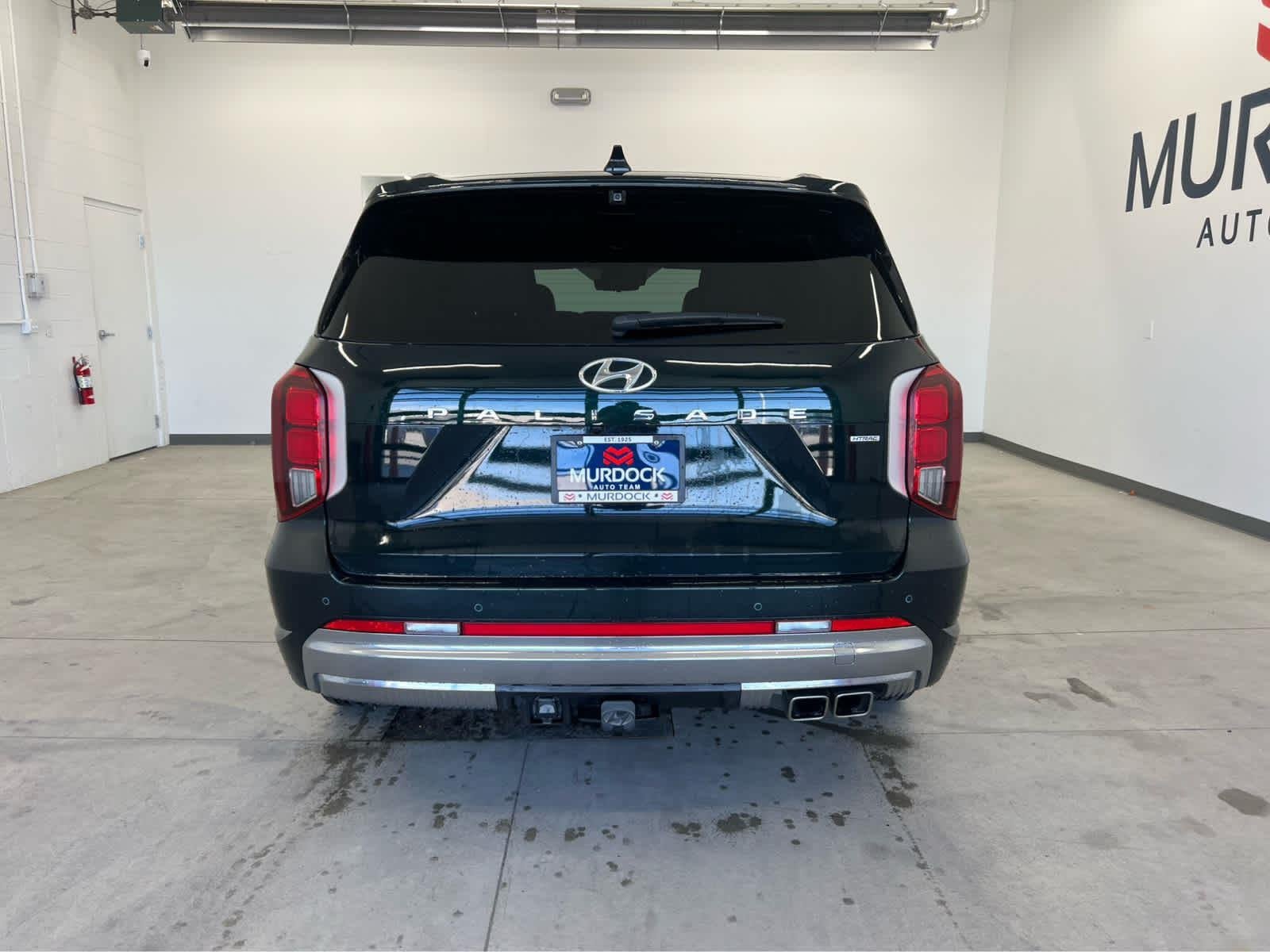 Used 2024 Robust Emerald Hyundai Calligraphy image 3