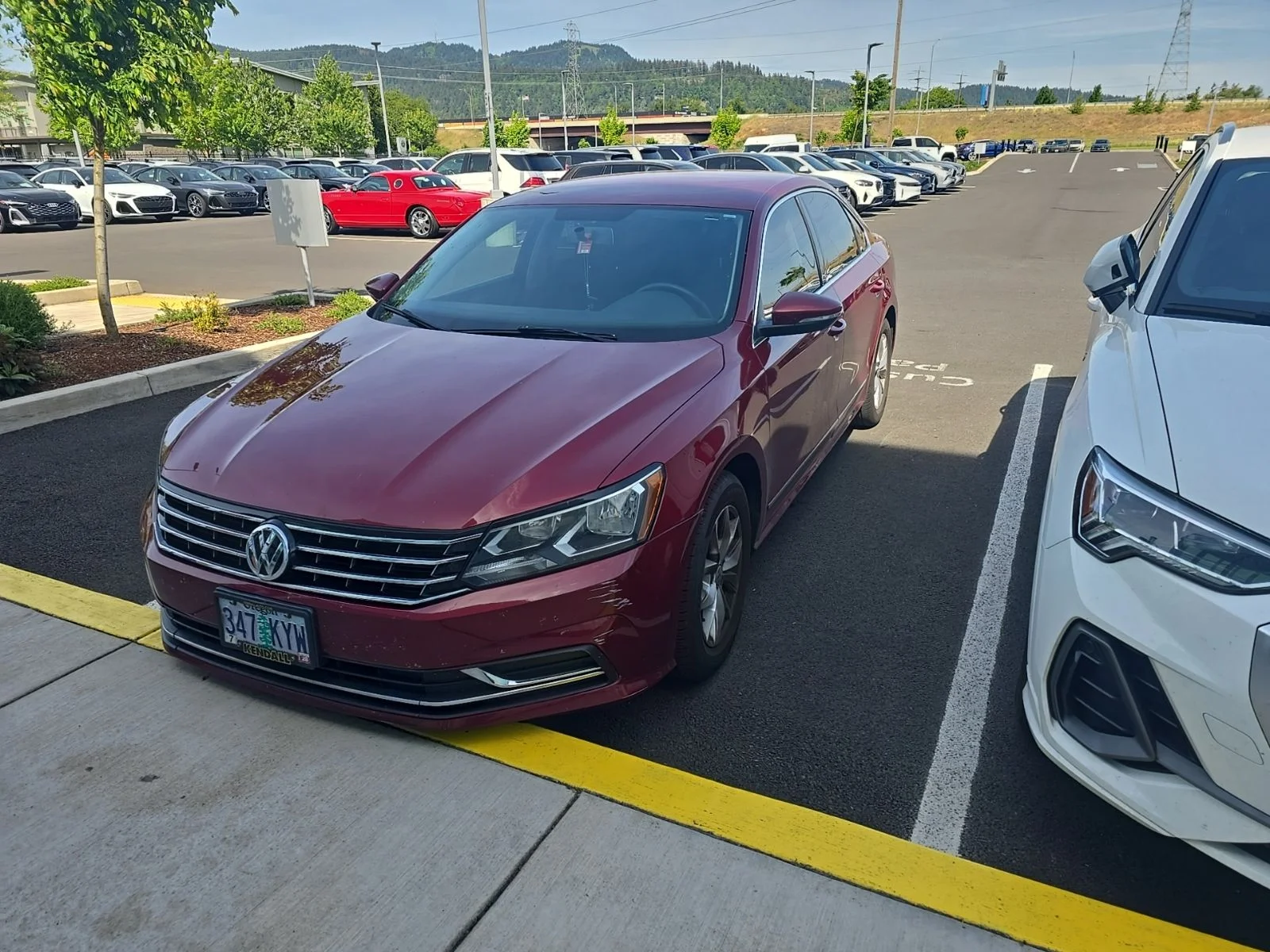 2016 Volkswagen Passat 1.8T S Auto PZEV's photo