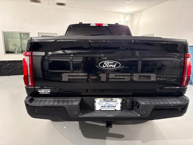Used 2024 Black Ford Platinum image 7