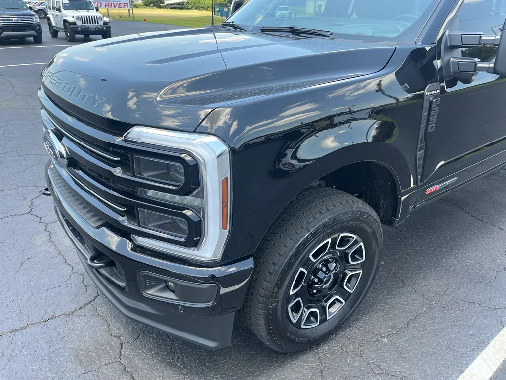 New 2026 Agate Black Metallic Ford Platinum image 9