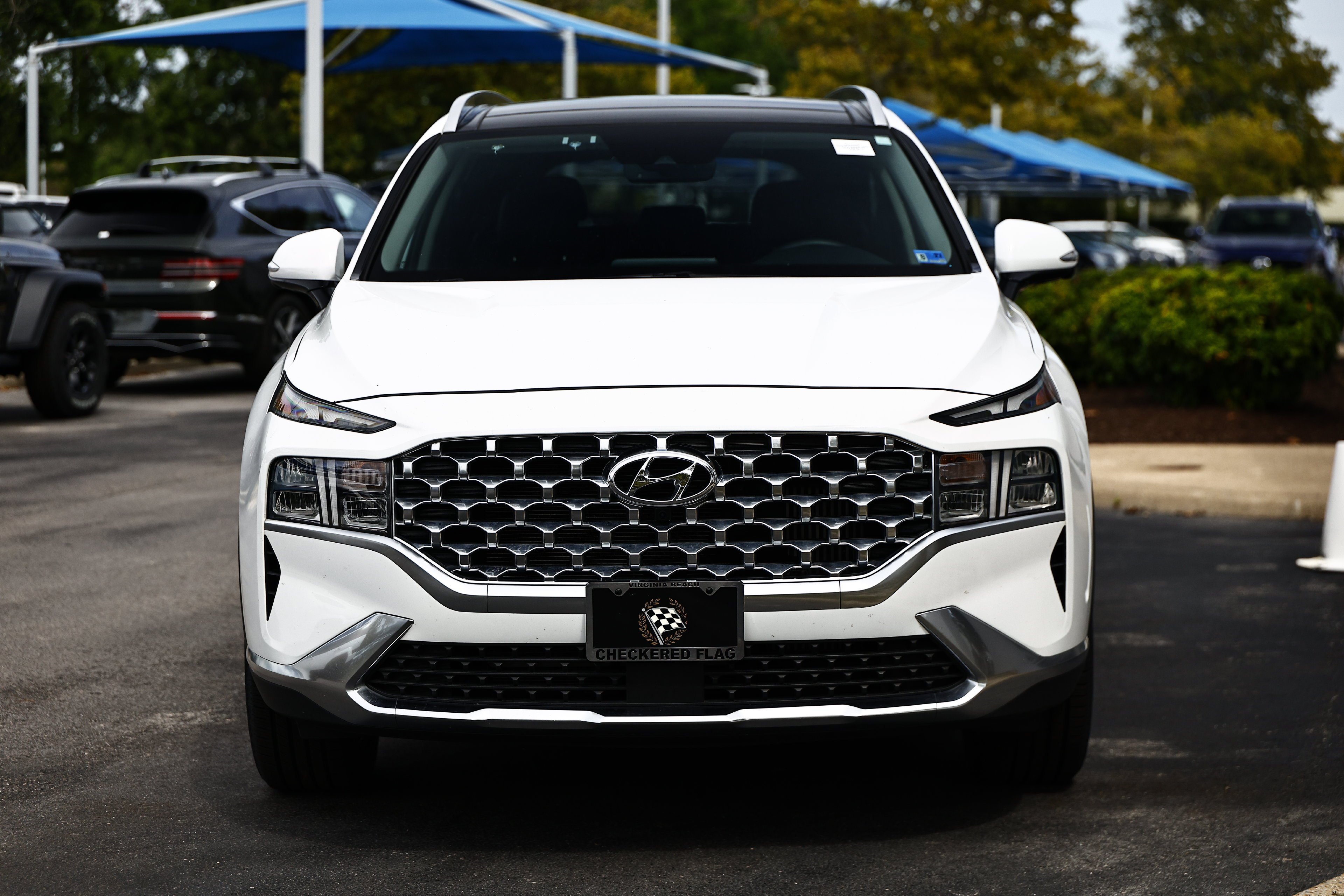 Used 2023 Serenity White Pearl Hyundai SEL Premium image 14