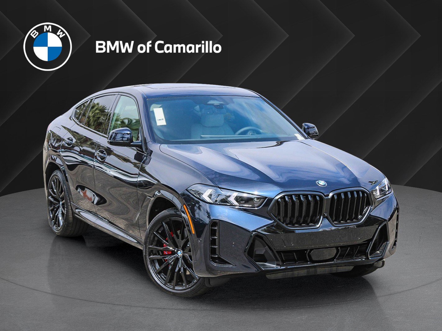 2027 BMW X6 xDrive40i's photo