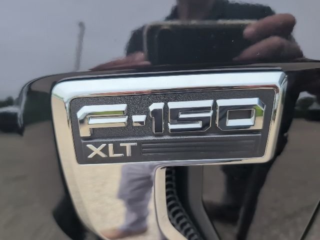2025 Ford F-150 XLT - Photo 14