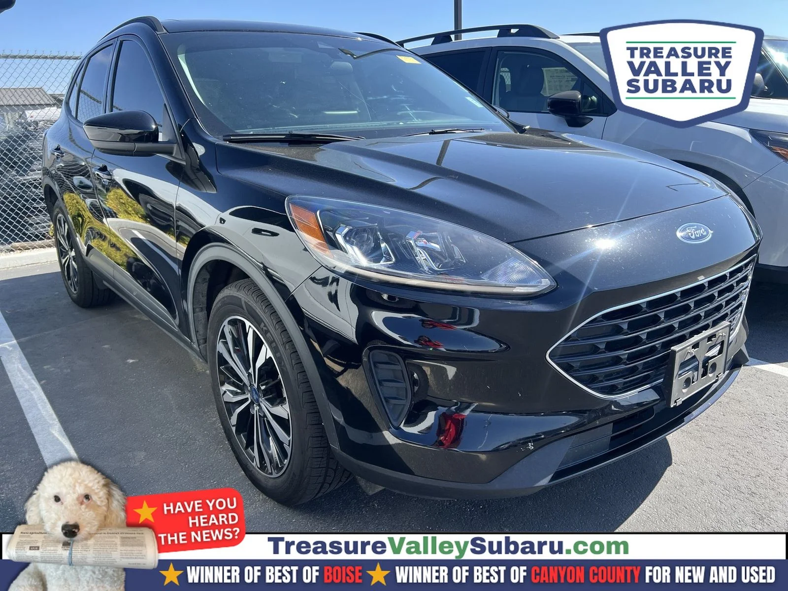 2022 Ford Escape SE AWD's photo