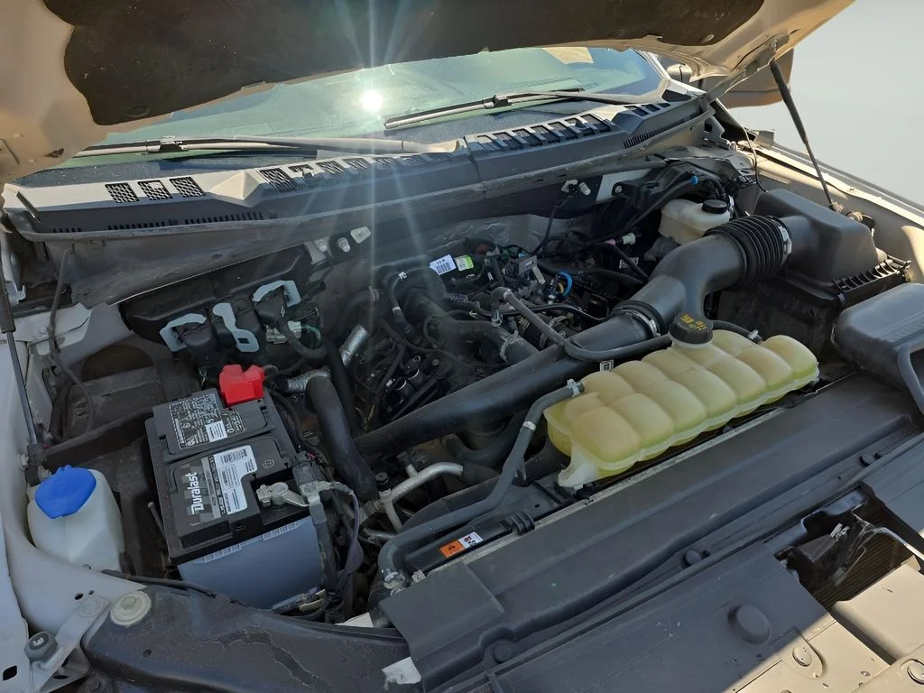Used 2019 Silver Ford  image 37
