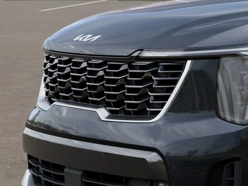 New 2026 Panthera Metal Kia EX image 13