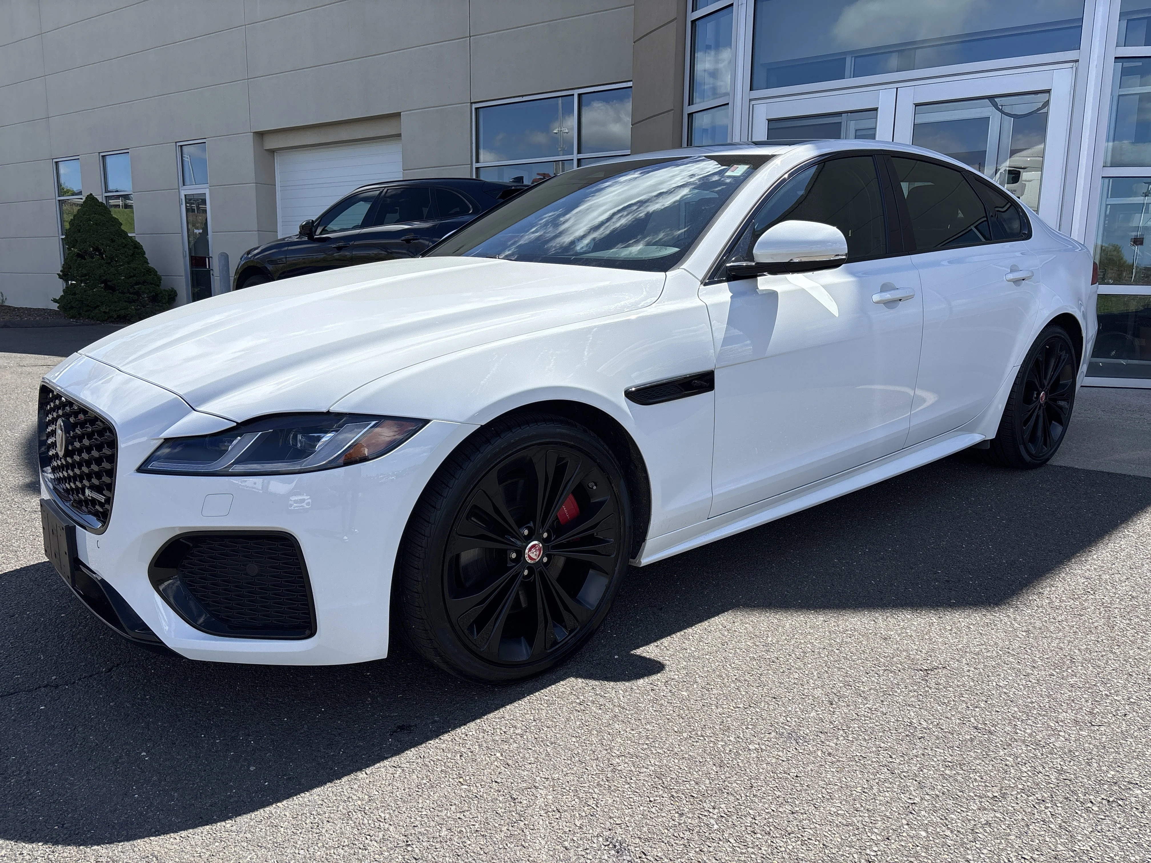 Used 2023 Fuji White Jaguar R-Dynamic SE image 8