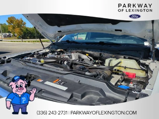 Used 2024 White Ford Platinum image 37