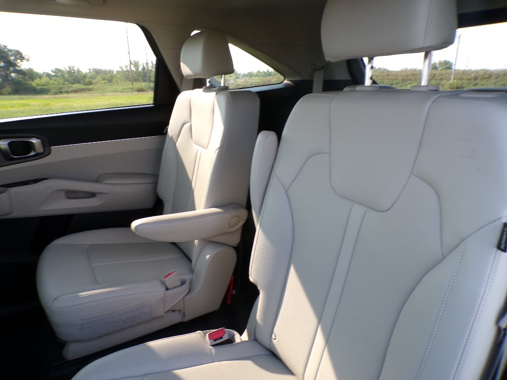 Used 2024 Jungle Green Kia X-Line EX image 11