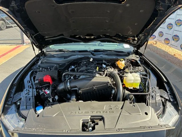 New 2026 Shadow Black Ford EcoBoost image 15