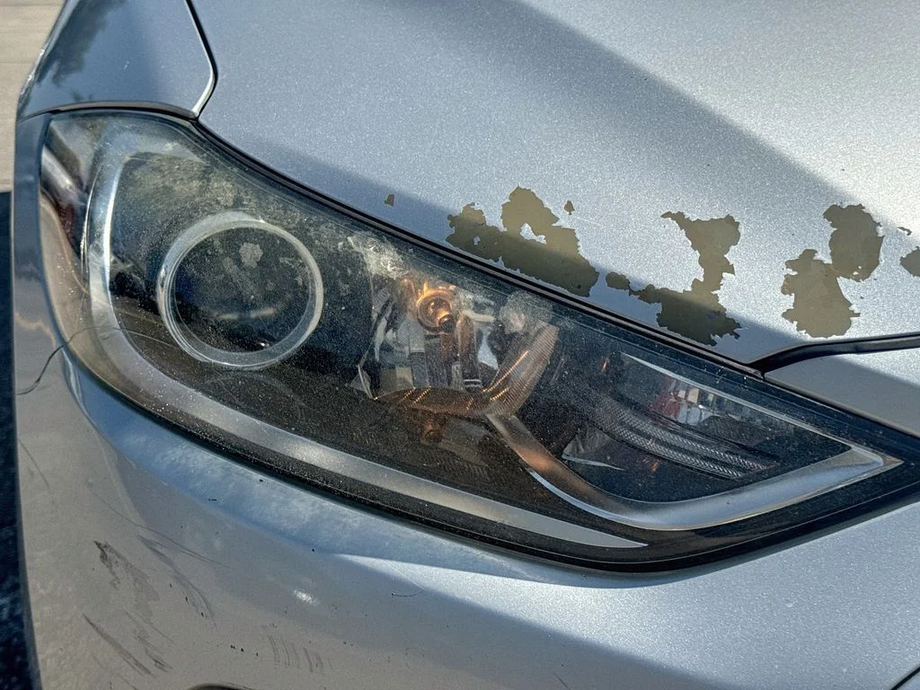 Used 2017 Silver Hyundai SE image 34
