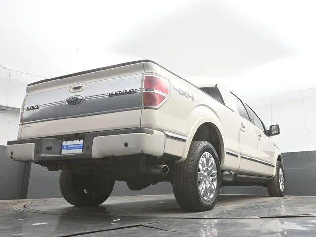 Used 2009  Ford Platinum image 45