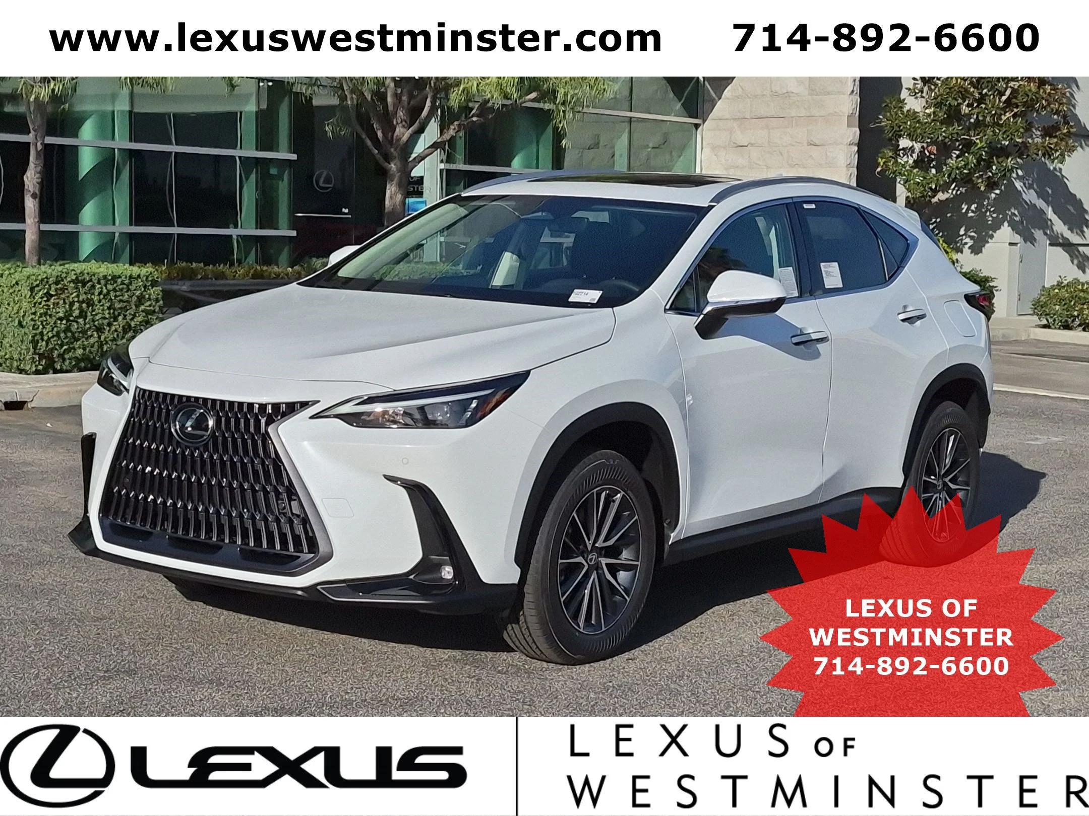 2026 Lexus NX  350 AWD
