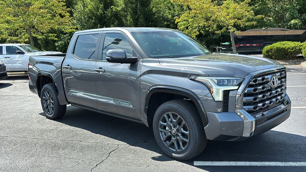 New 2026 Magnetic Gray Metallic Toyota  Platinum image 31