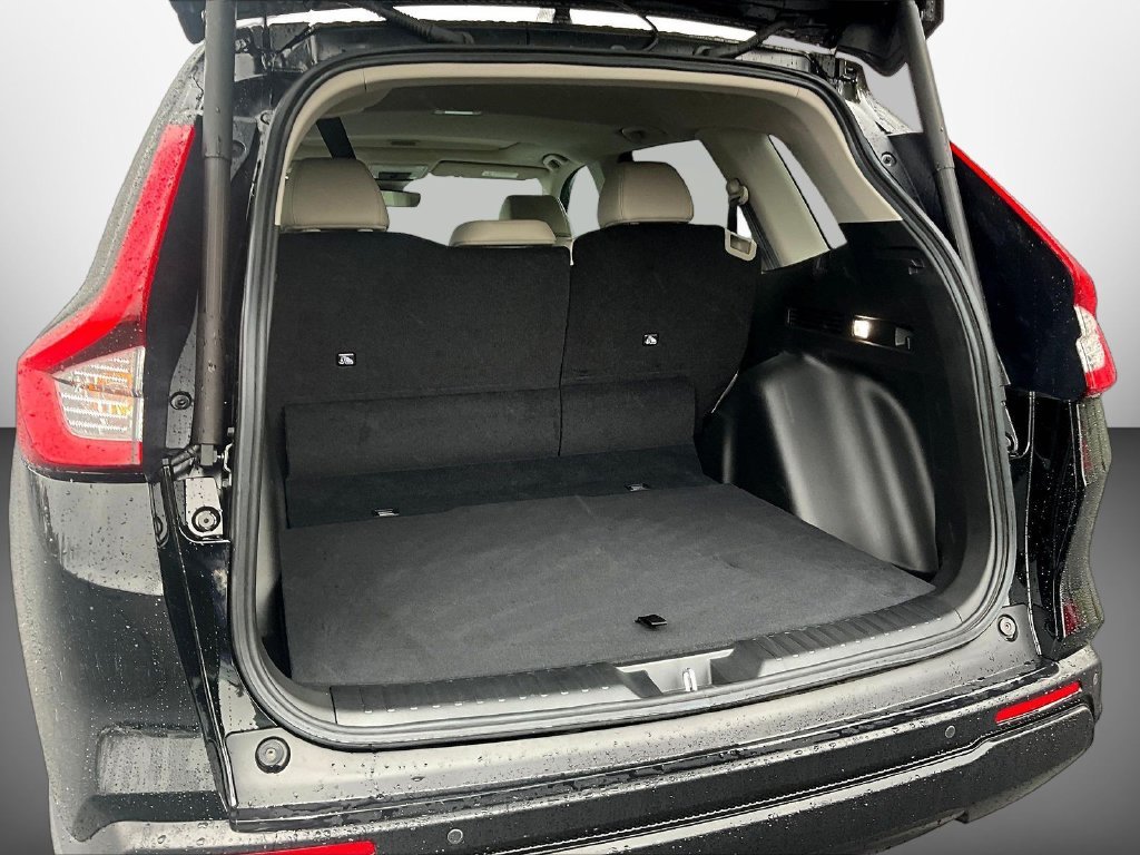 Used 2026 Black Honda EX-L image 7