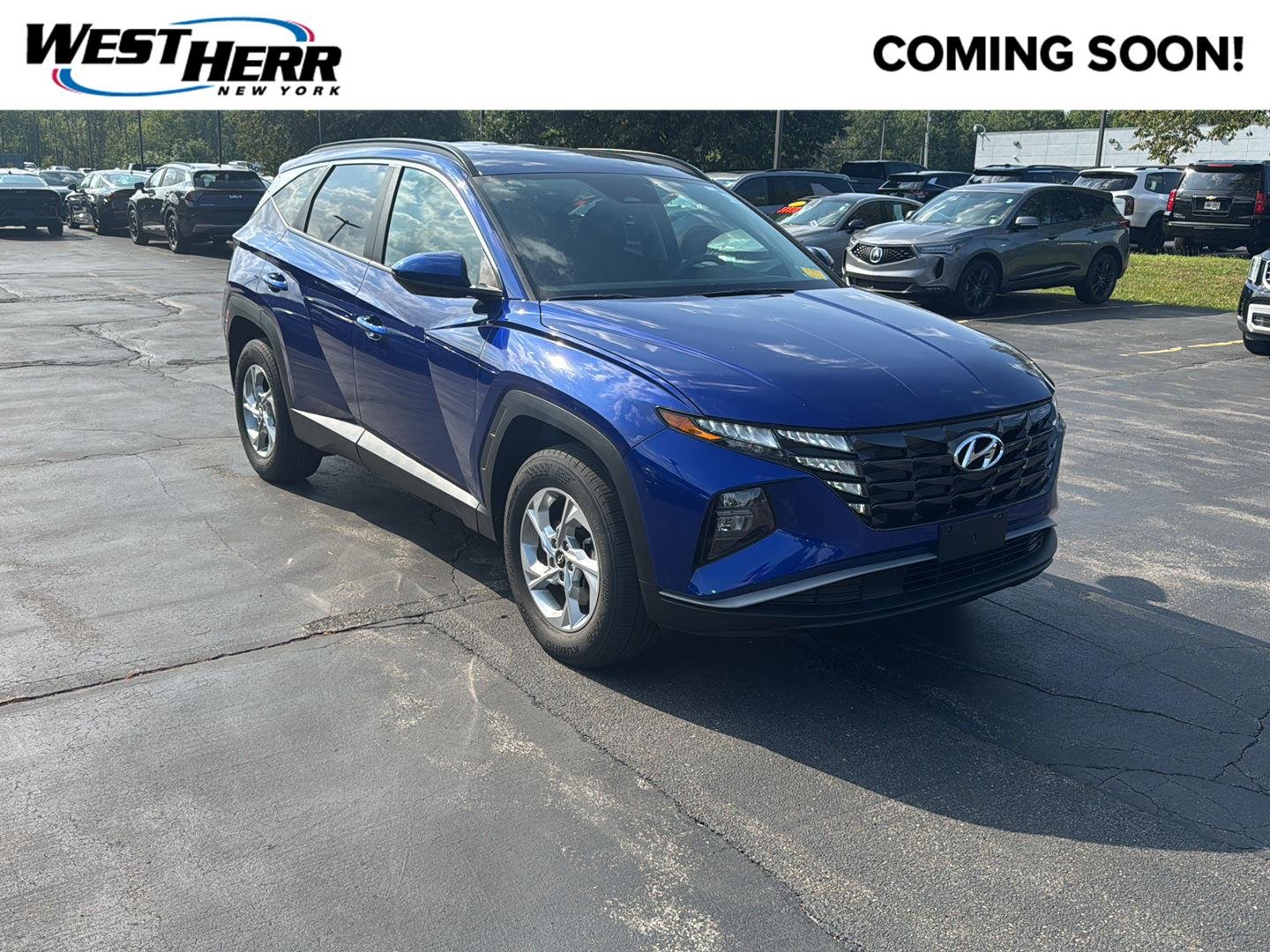 Used 2024 Intense Blue Hyundai SEL image 1