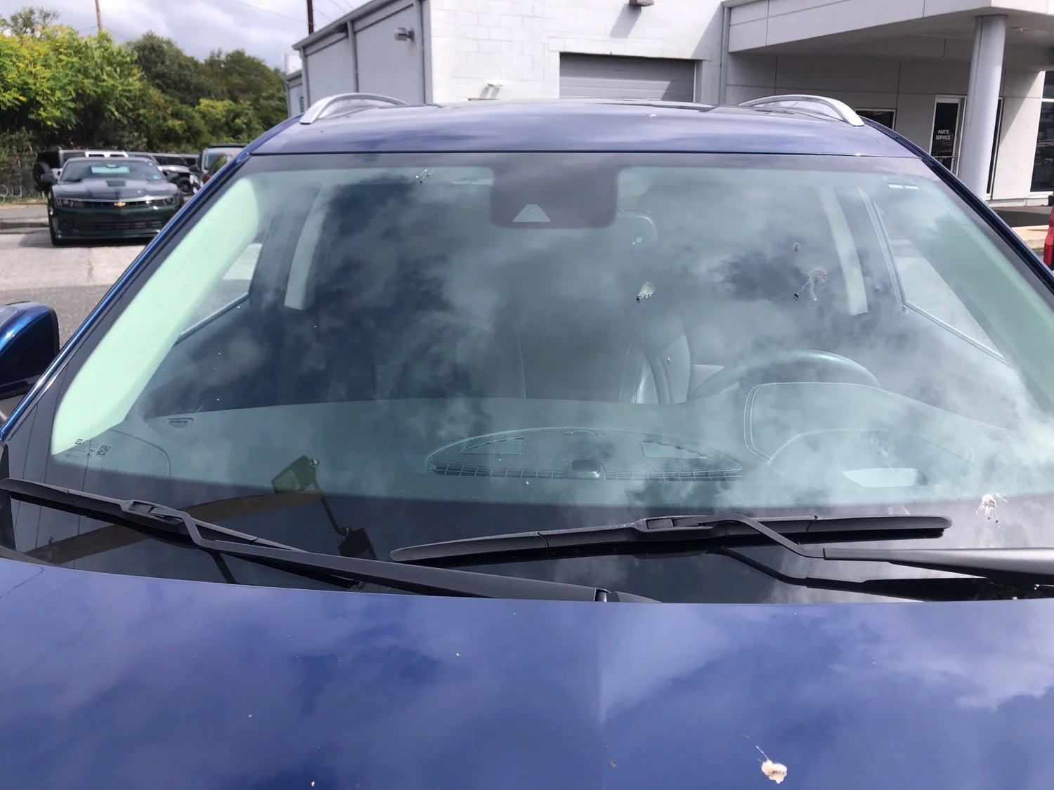 Used 2023 SAPPHIRE METALLIC Buick Essence image 6