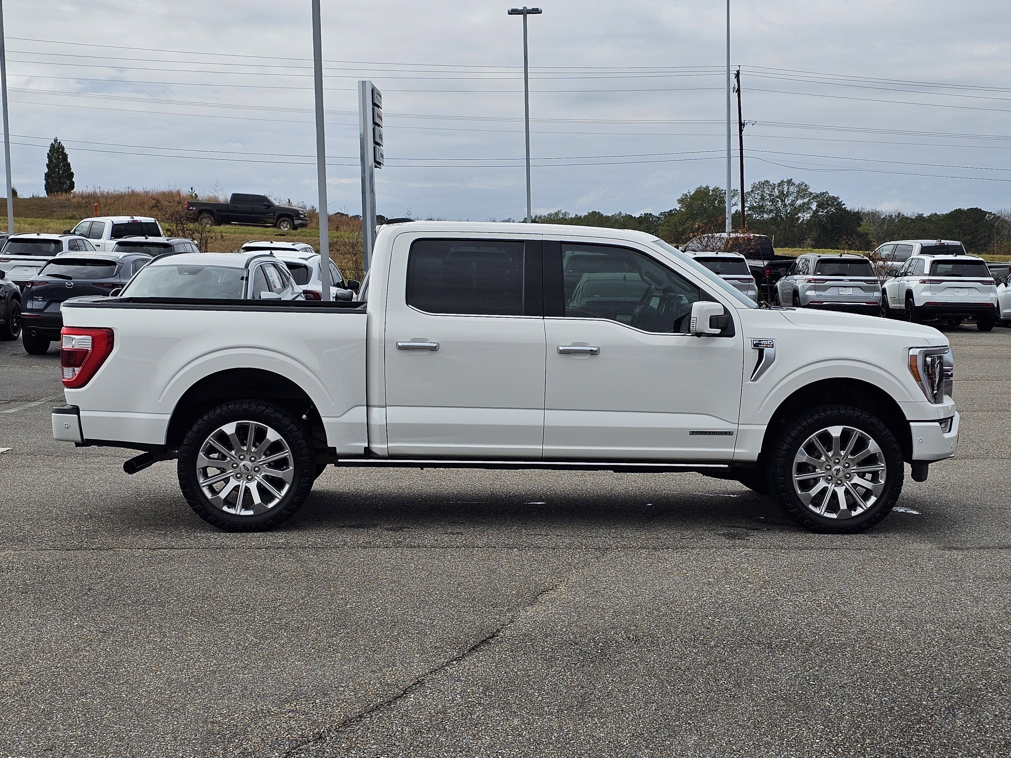 2021 Ford F-150 Limited - Photo 7