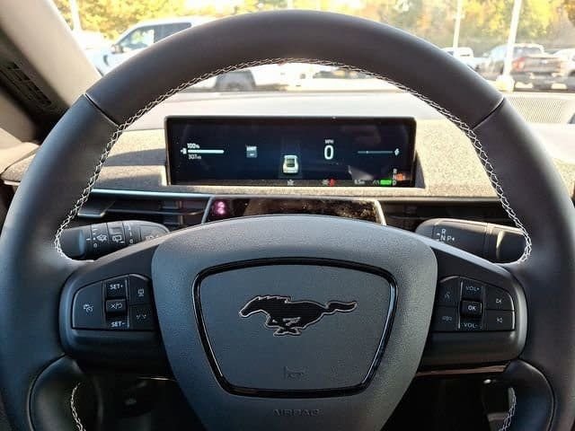 2025 Ford Mustang Mach-E GT - Photo 15
