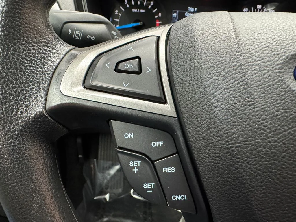 Used 2019 Magnetic Ford S image 12