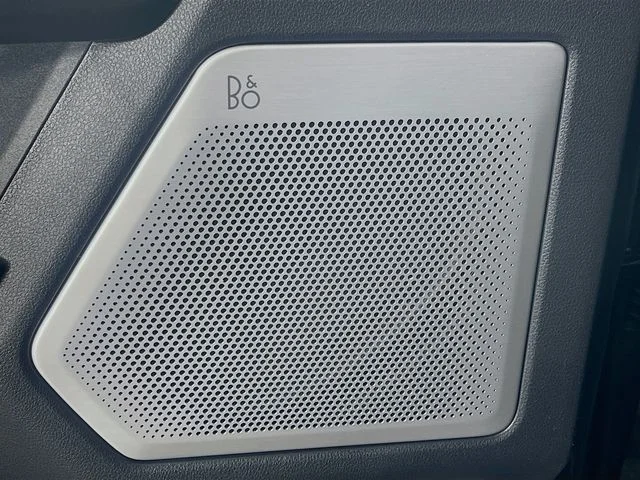 New 2026 Carbonized Gray Metallic Ford Raptor image 19