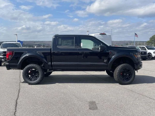 New 2026 Agate Black Metallic Ford Black Widow image 2
